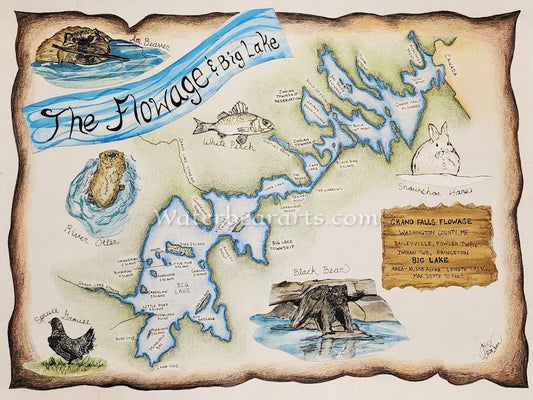 Grand Falls Flowage and Big Lake, Maine Eco-map print