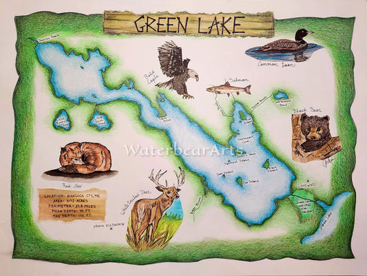 Green Lake,Maine Eco-map print