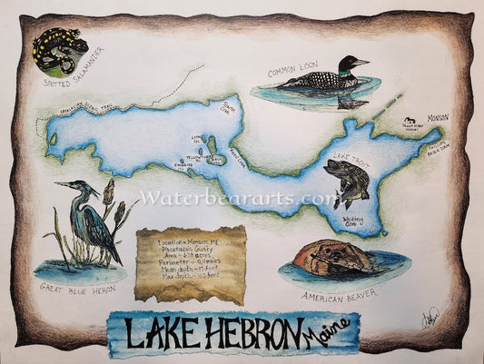 Hebron (Lake), Maine Eco-map print