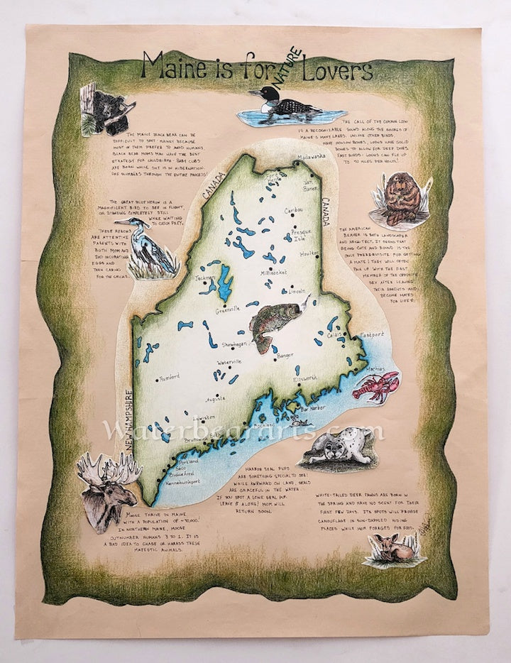 Maine is for Nature Lovers Eco-map print