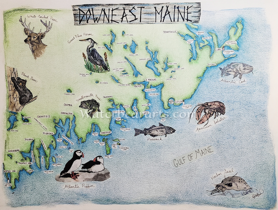 Downeast Maine, Machias Region Eco-map print