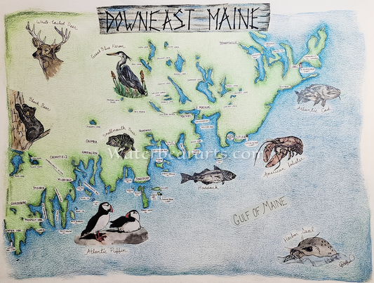 Downeast Maine, Machias Region Eco-map print