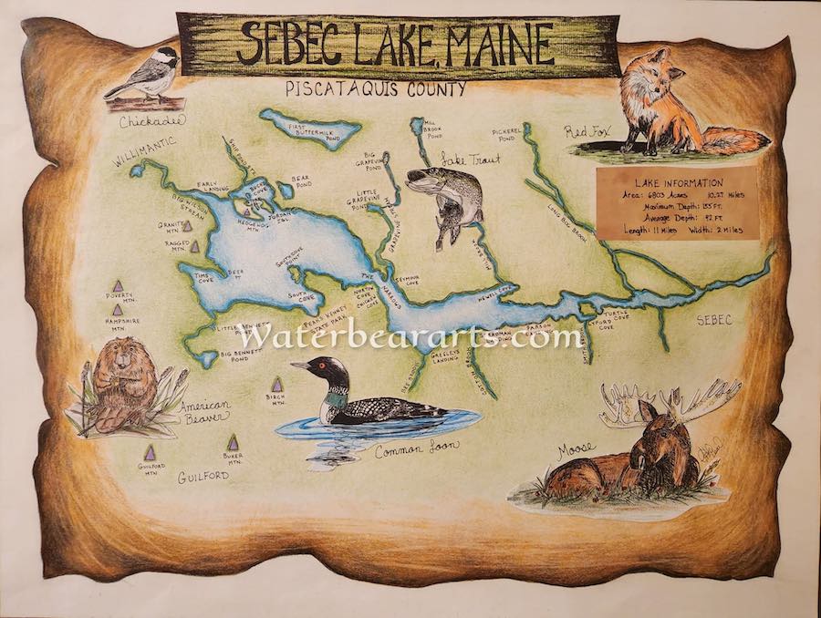 Sebec Lake, Maine Eco-map print