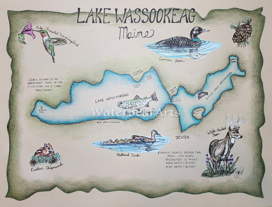 Wassookeag (Lake), Maine Eco-map print